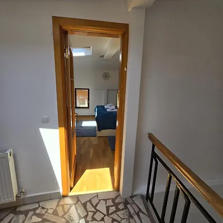 Ris 3 Filibiliu 12 3* Bukurešť