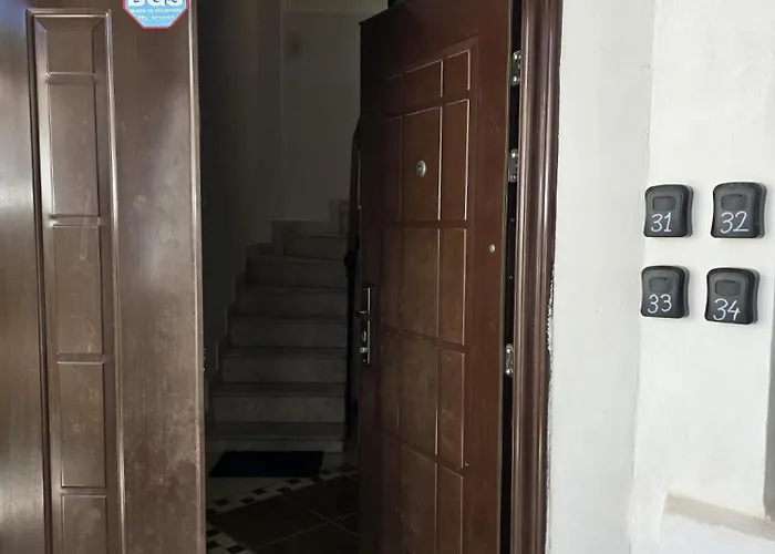 Pensiune Ris 3 Filibiliu 12 Bucureşti