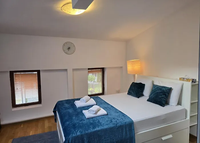 Pensiune Ris 3 Filibiliu 12