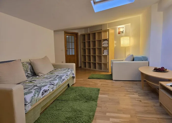 Ris 3 Filibiliu 12 Pensiune Bucureşti